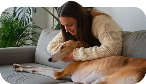 Who Can Benefit from an Emotional Support Animal or Service Animal?